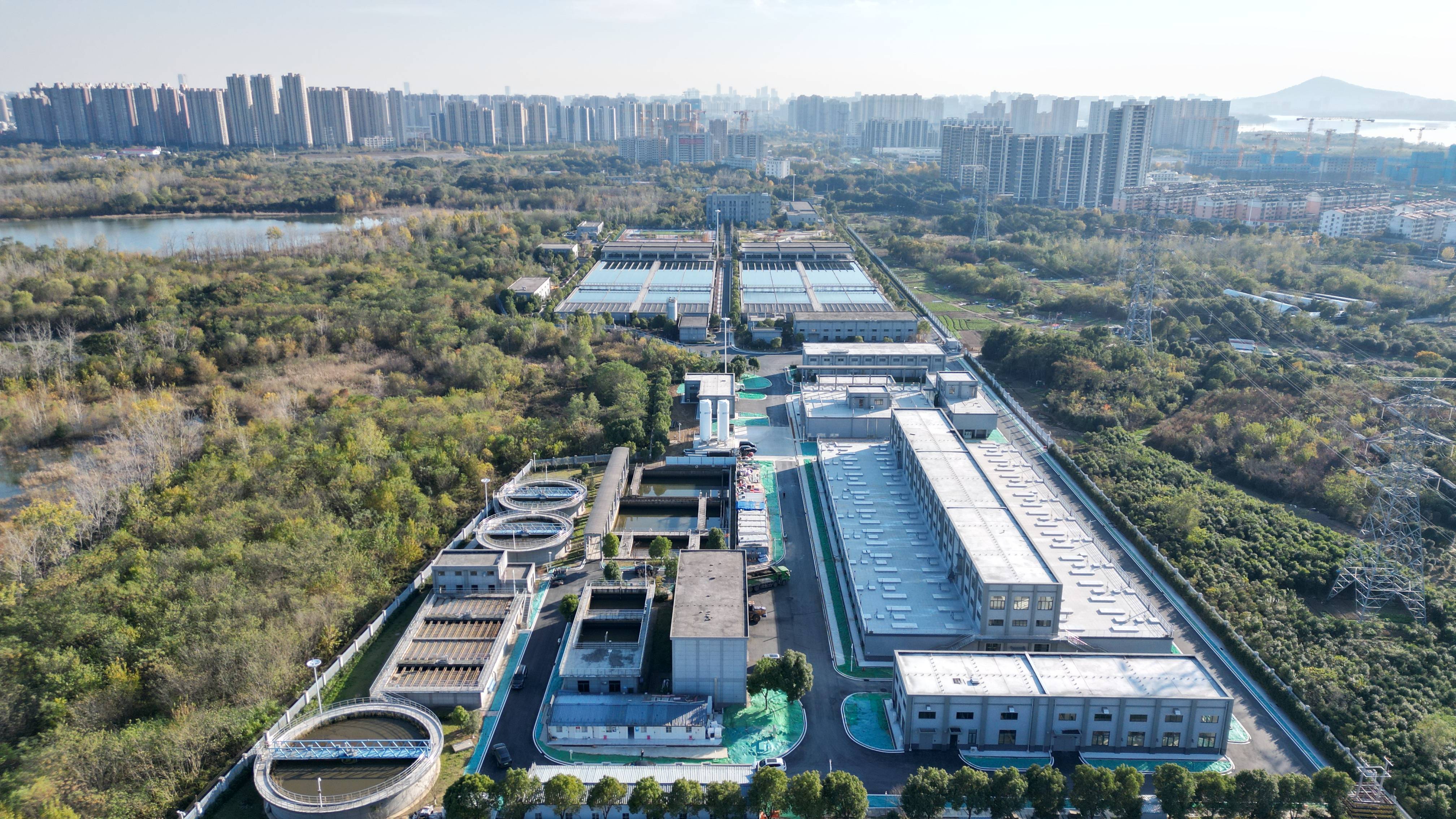 莆田市合肥专业企业价值增长(合肥市重点企业产业目录)