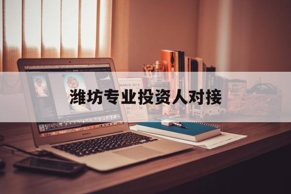 莆田市潍坊专业投资人对接(潍坊专业投资人对接中心)